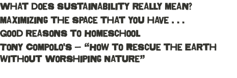 What does sustainability really mean? maximizing the space that you have . . . Good reasons to Homeschool Tony Compolo's — “How to Rescue the Earth without Worshiping Nature” 